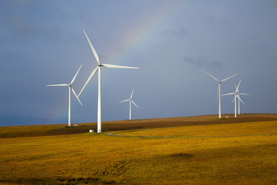 How Wind Turbines Work and Their Role in Renewable Energy