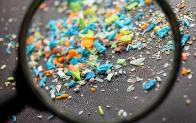 Microplastics Found in Human Testicles: A Concerning Discovery